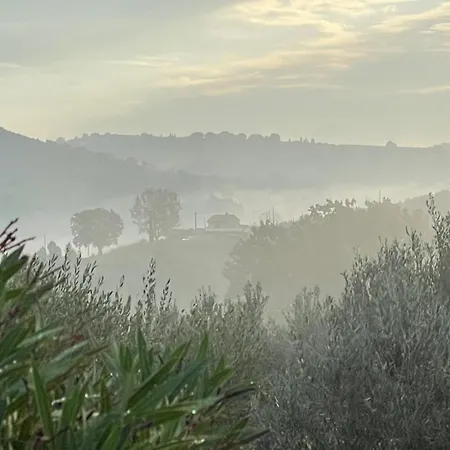 Collina D'oro